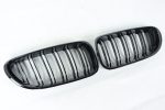 M6 kidney grilles F13