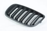 BMW E70 front grille