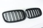 BMW X5 sport grille