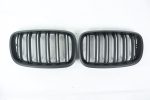X5 E70 tuning grille