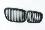 BMW X1 front grille E84