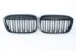BMW X1 F48 matte grille