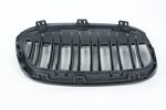 BMW X1 matte black grilles
