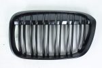 BMW X1 F48 front grille