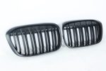 BMW X1 sport grille
