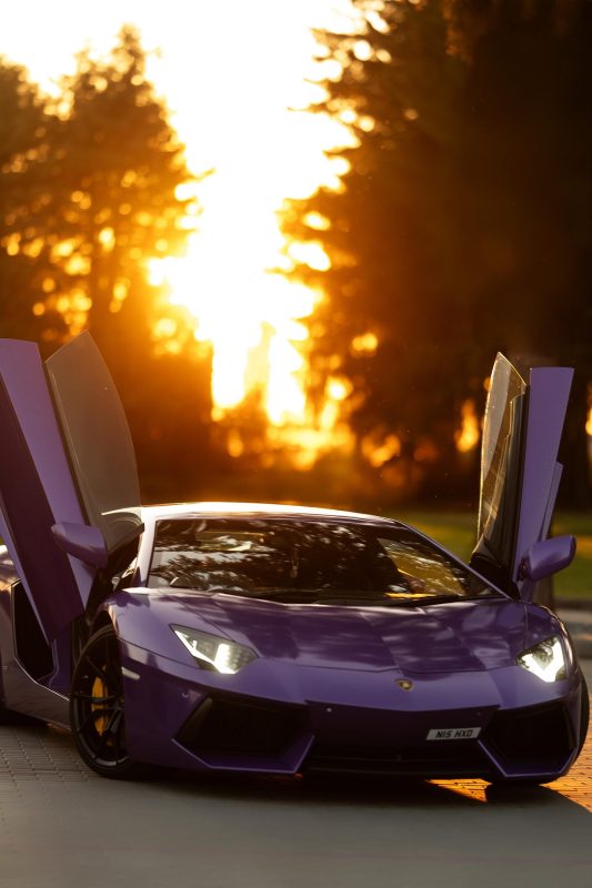 Lamborghini Aventador (30)