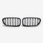 M-style front kidney grilles F10