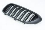 Matte front kidney grilles BMW G30